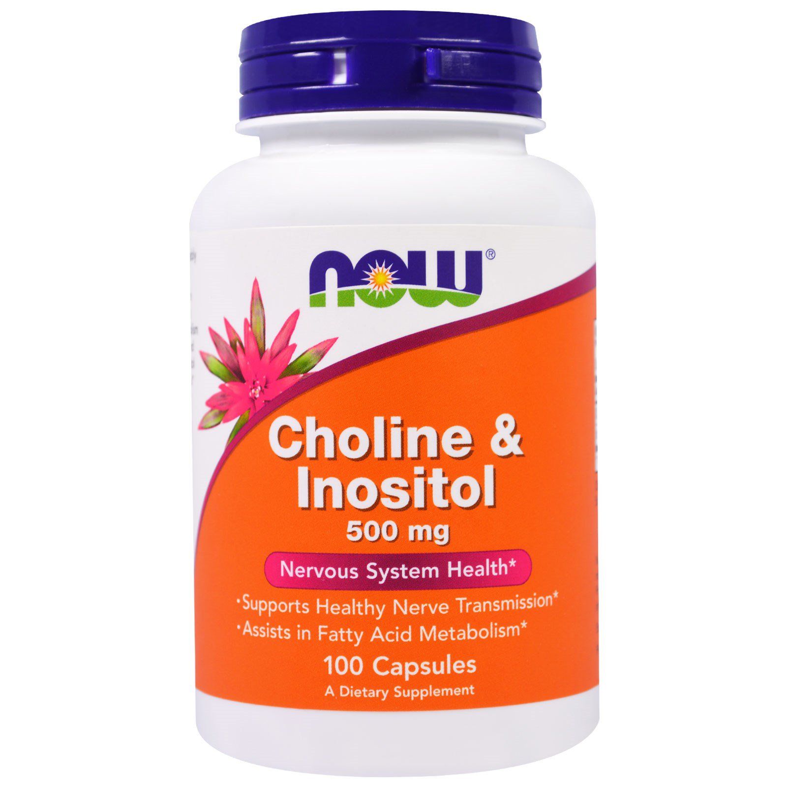 Холин + Инозитол Choline & Inositol для стимуляции работоспособности клеток головного мозга 500 мг Now Foods, 100 шт